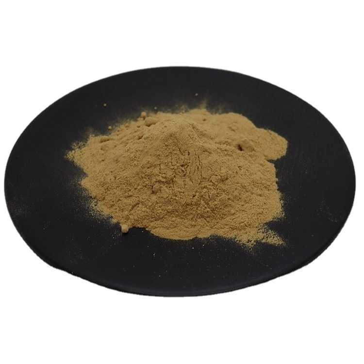 High quality Polyphenols 40% Isoorientin 2% Bamboo Extract Powder