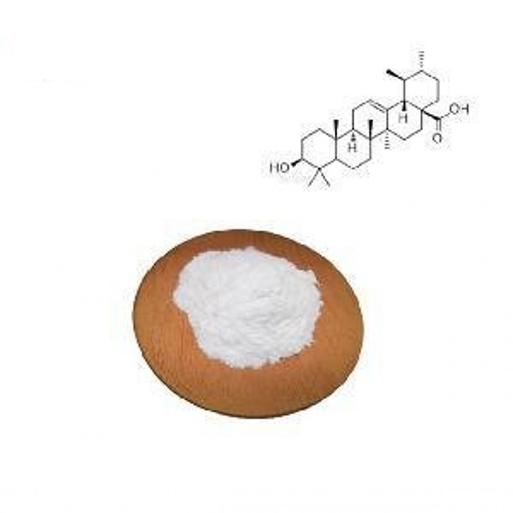 High quality loquat leaf extract bulk pure ursolic acid price powder ursolic acid powder 98%