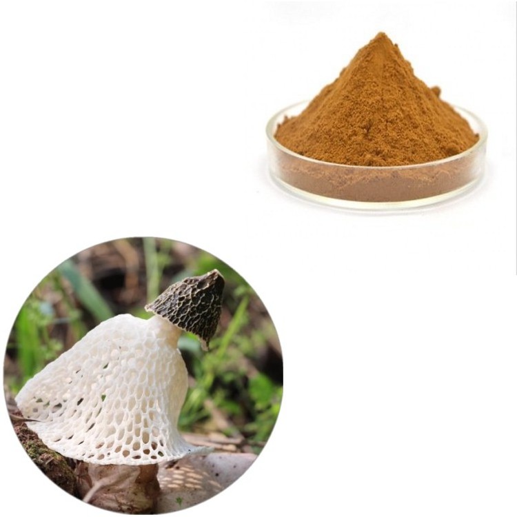 Healthcare Supplements Polysaccharide 30% Dictyophora Indusiata Mushroom Extract Powder