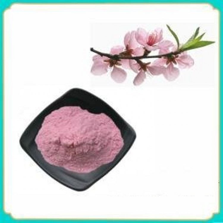 Organic plant extract/Sakura extract powder/peach flower extract cherry blossom powder