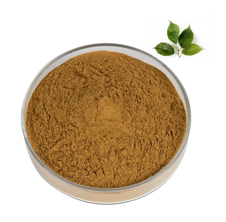 Wholesale Herbal Plant Eucommia Ulmoides Leaf Natural Extract Eucommia Ulmoides Extract