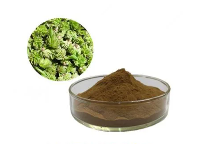 Wholesale Herbal Plant Eucommia Ulmoides Leaf Natural Extract Eucommia Ulmoides Extract