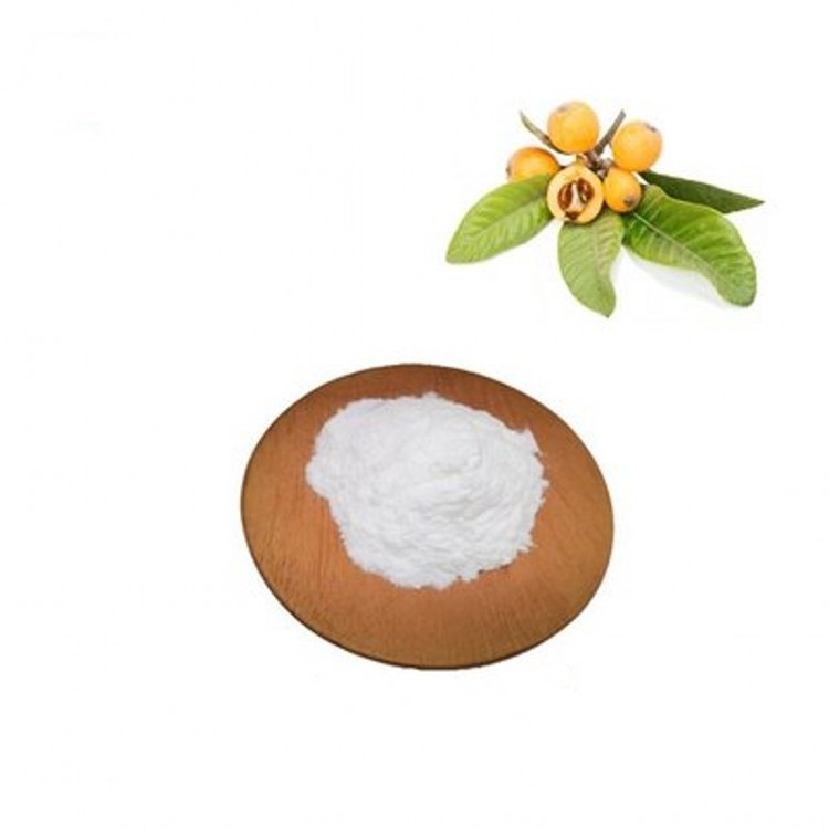 High quality loquat leaf extract bulk pure ursolic acid price powder ursolic acid powder 98%