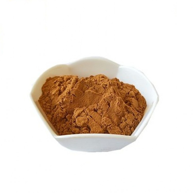 High quality chanterelle mushrooms extract/cantharellus cibarius extract/chanterelle polysaccharide 30% powder