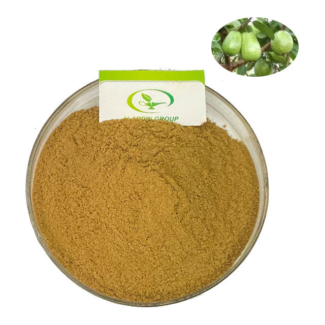 HALAL best price high quality guava extract guava leaf extract guava leaf extract powder