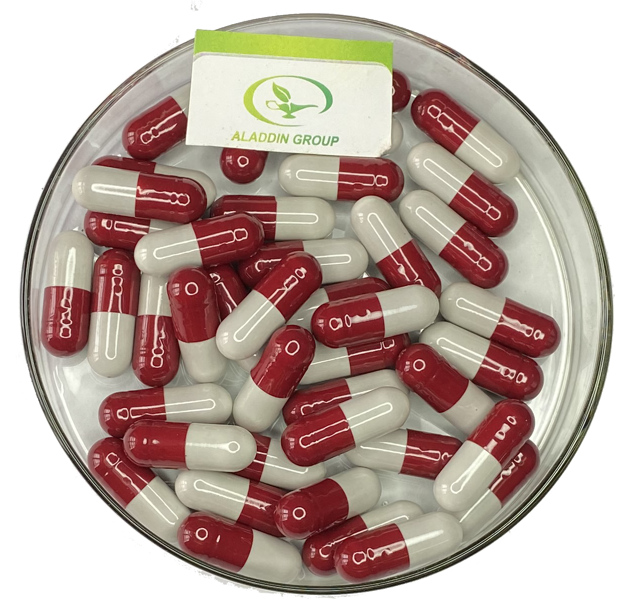 Private Label Organic Reishi Mushroom Extract Ganoderma Lucidum Capsules boosts the immune system