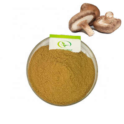 Haccp  New product   Food Grade   Free sample shitake mushroom extract shitake mushroom powder lentinan