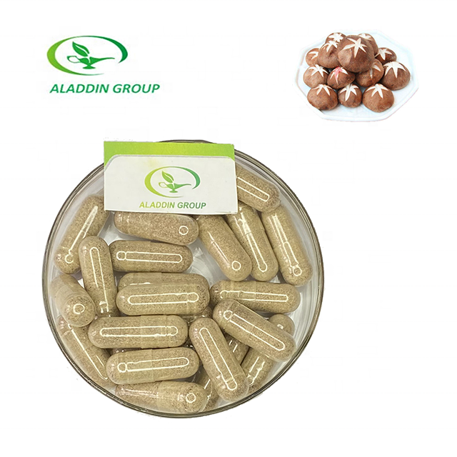 GMP hot selling high quality shiitake mushroom extract powder