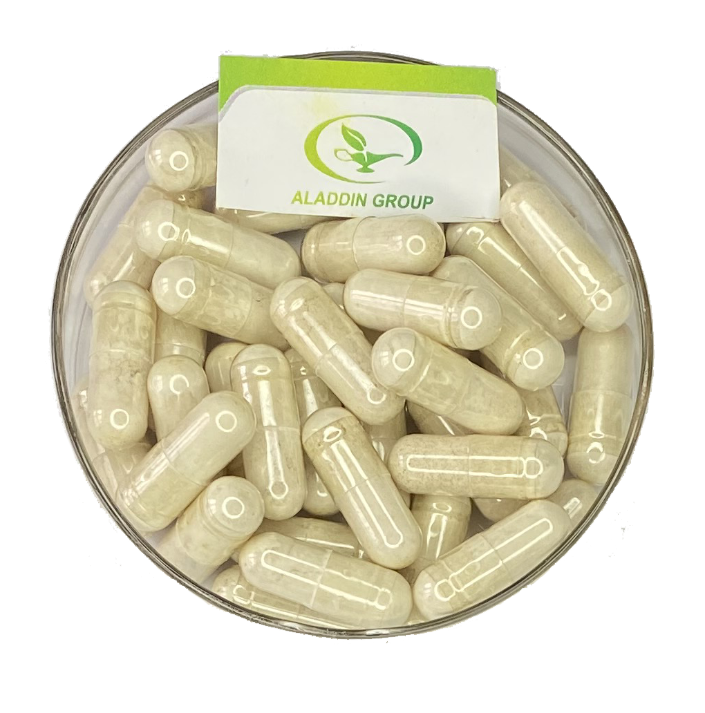 Private Label Organic Reishi Mushroom Extract Ganoderma Lucidum Capsules boosts the immune system