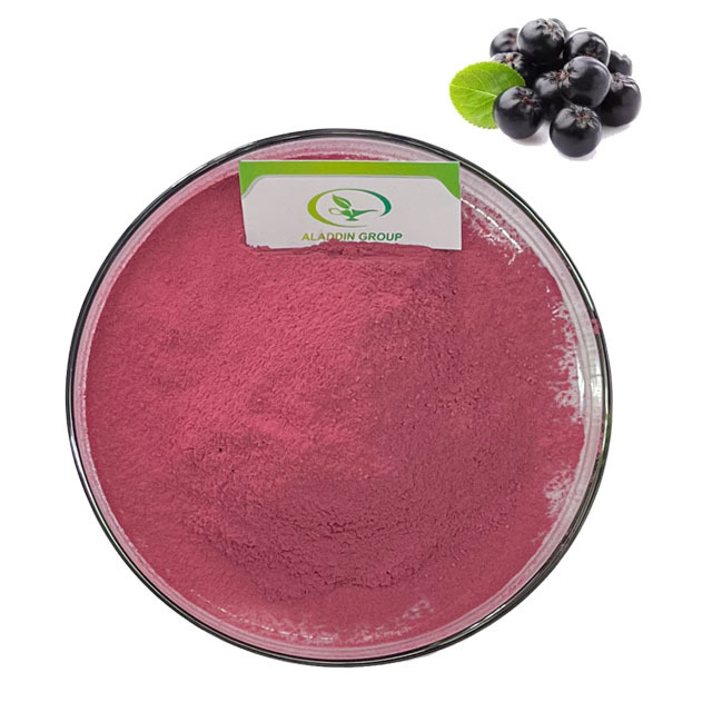 HALAL high quality food grade pure aronia chokeberry powder aronia berry powder