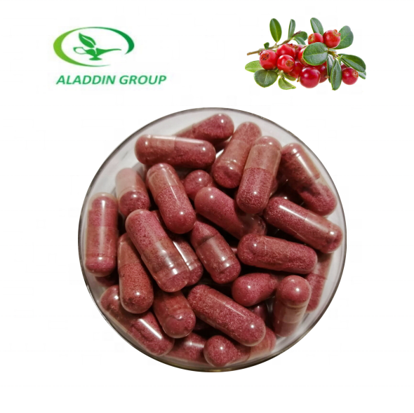 Haccp  New product   Food Grade   Free sample cranberry extract cranberry powder Proanthocyanidins