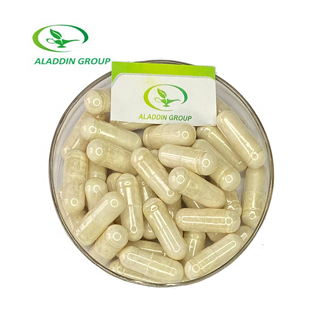 Haccp  New product Food Grade  sophora japonica extract 98% quercetin