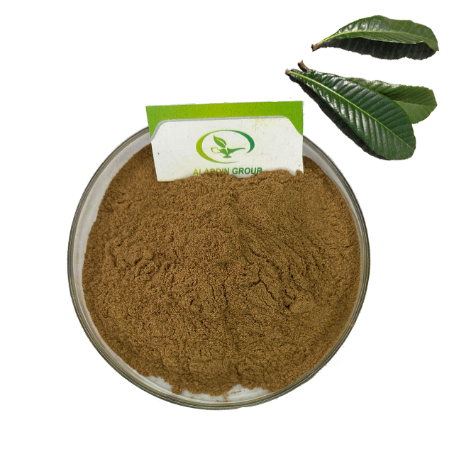 HALAL factory supply wholesale  high quality loquat leaf extract powder 98% ursolic acid