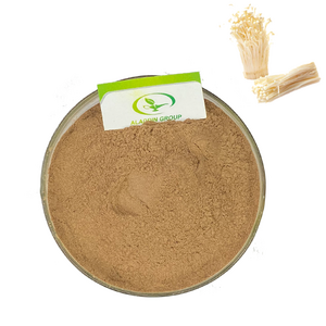 HALAL factory best price  wholesale  needle mushroom extract powder