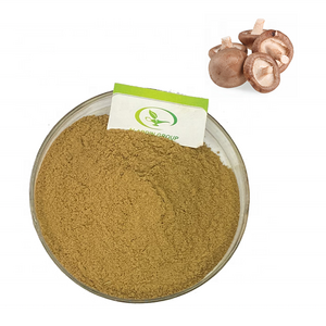 GMP hot selling high quality shiitake mushroom extract powder