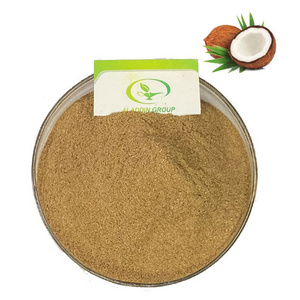 HALAL best price high quality coconut extract coconut extract powder