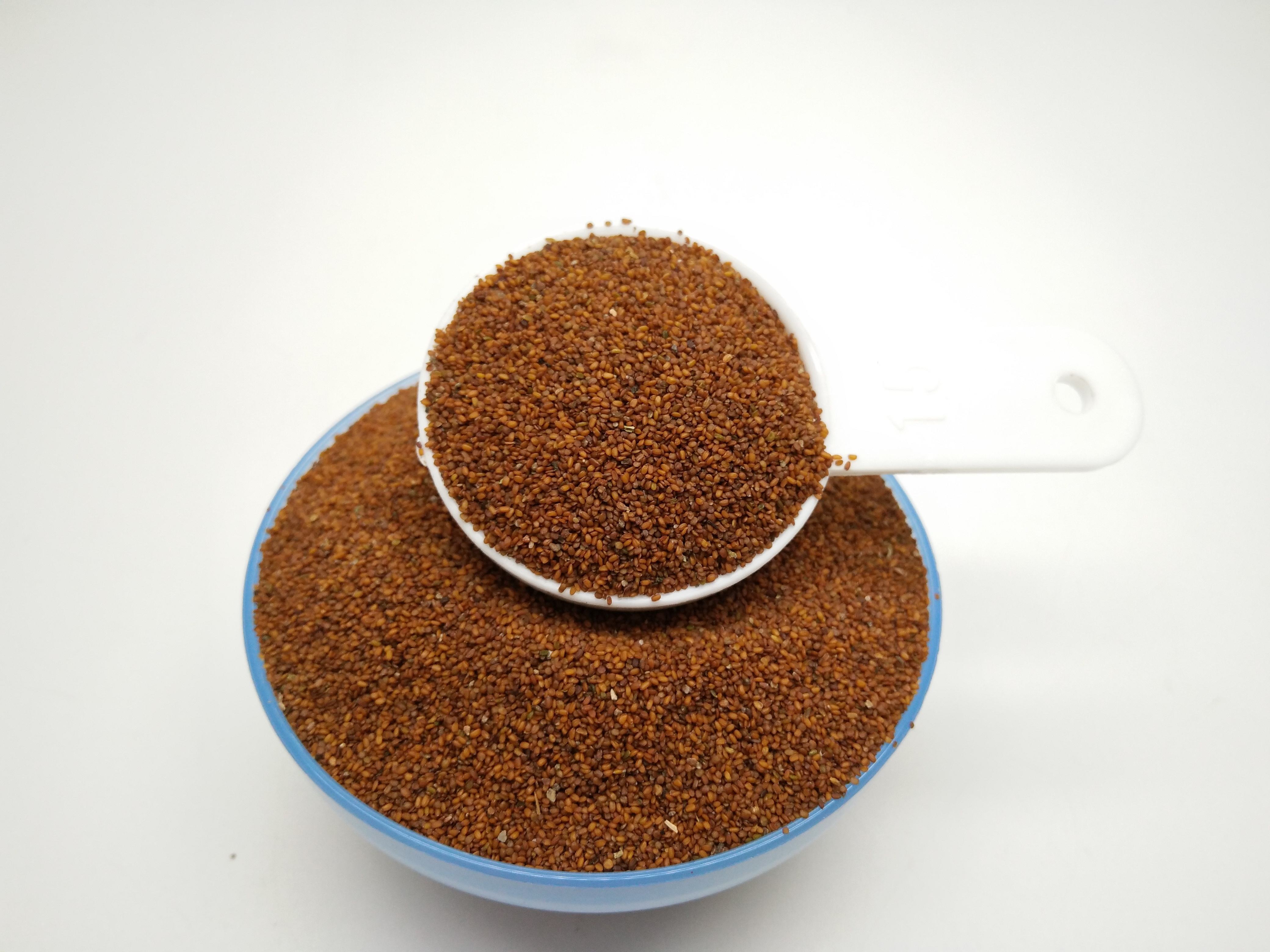 HALAL factory supply wholesale seaweed extract  powder