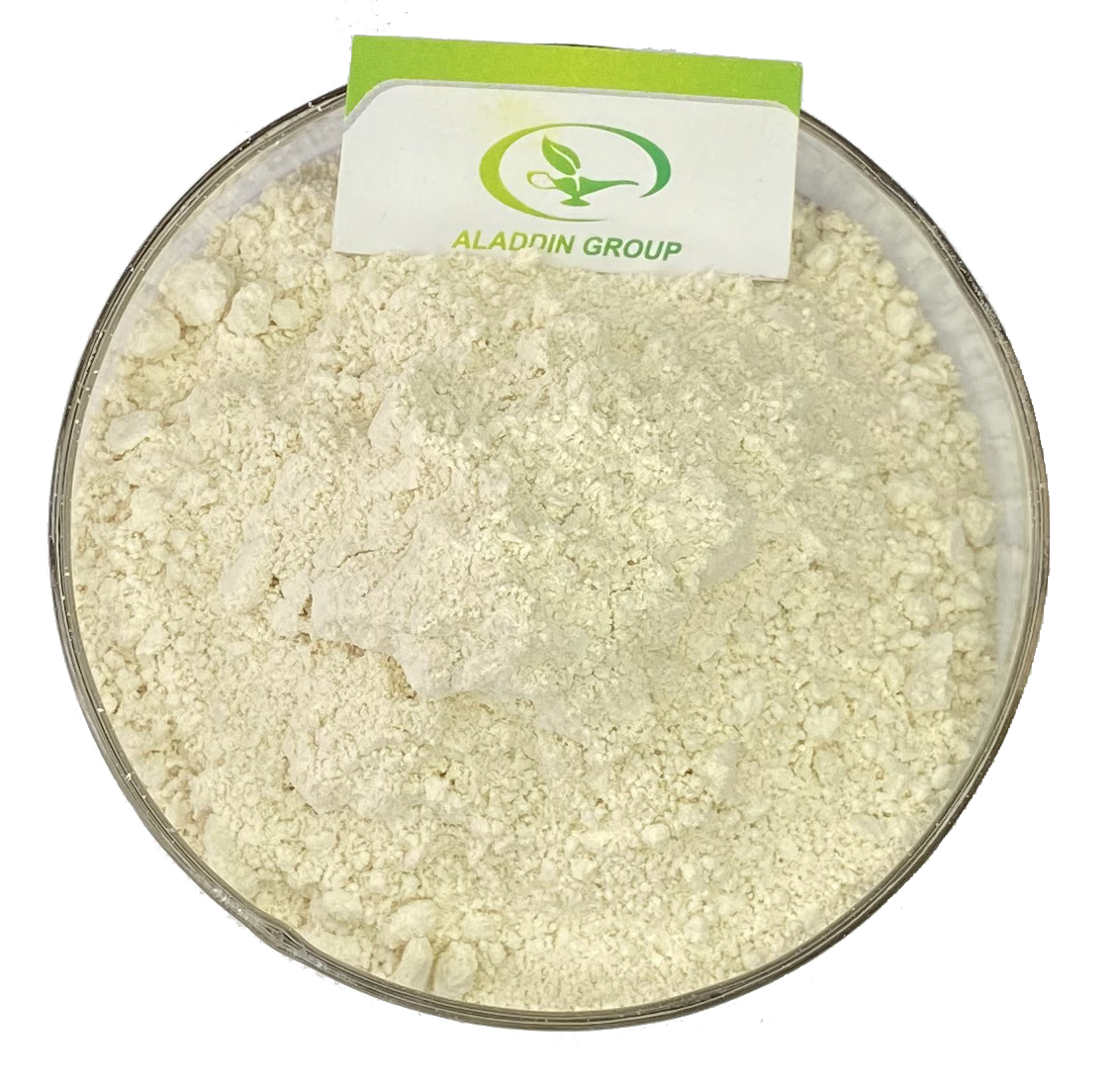 HALAL high quality best price grapefruit powder freeze dried grapefruit powder grapefruit extract powder