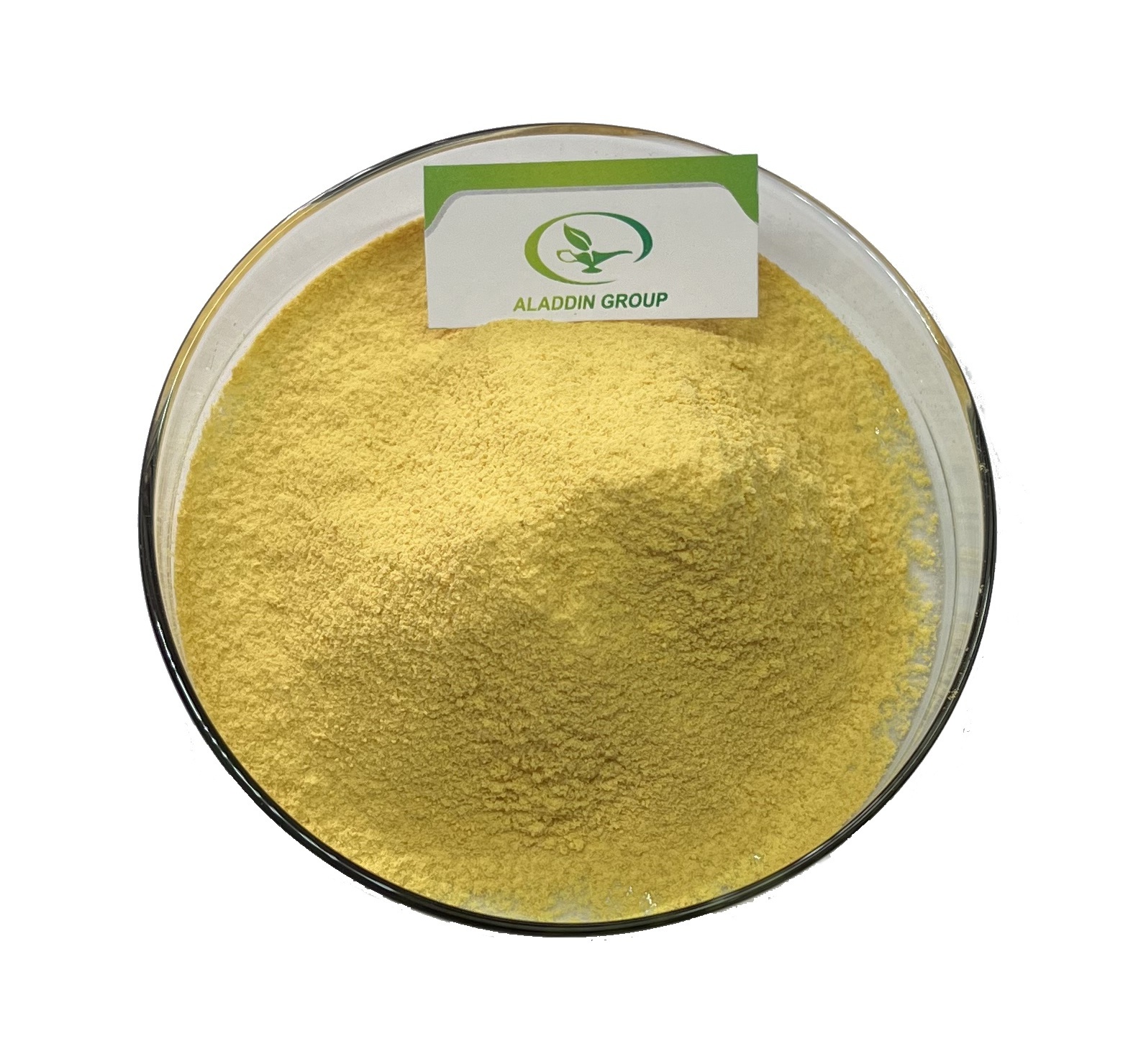 Haccp  New product   Food Grade   Free sample tea tree mushroom extract agrocybe cylindracea extract  50 polysaccharide