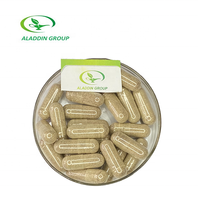 OEM hot selling products herbal supplements ginkgo biloba extract capsules