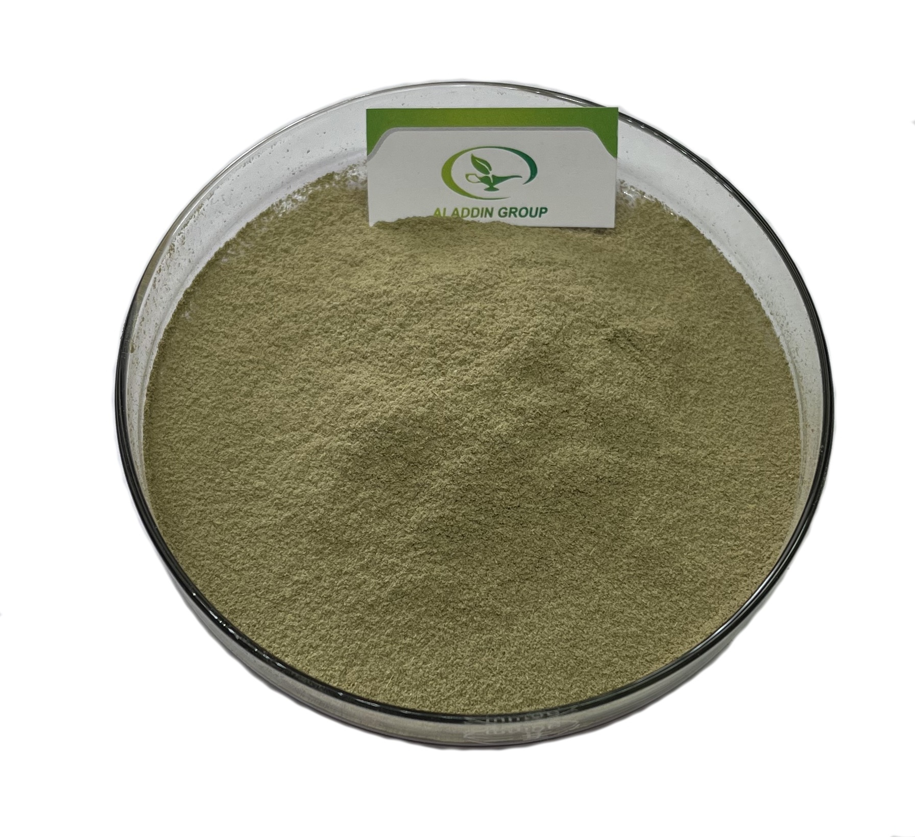 Haccp  New product   Food Grade   Free sample tea tree mushroom extract agrocybe cylindracea extract  50 polysaccharide