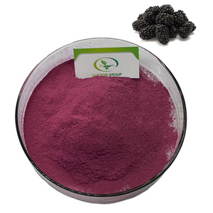 HALAL high quality best price black raspberry powder freeze dried black raspberry extract powder