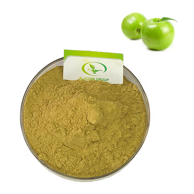 GMP hot selling high quality green apple fruit extract powder