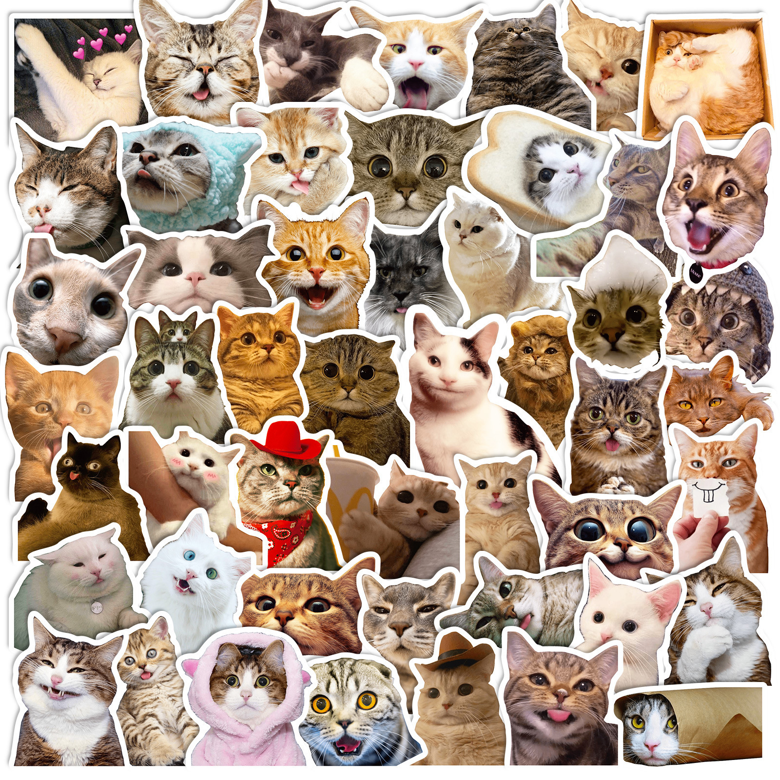 Wholesale 50PCS Cartoon Cute Funny Cat Animal Creative Graffiti Sticker Bike Skateboard Car Helmet Notebook Computer Stickers