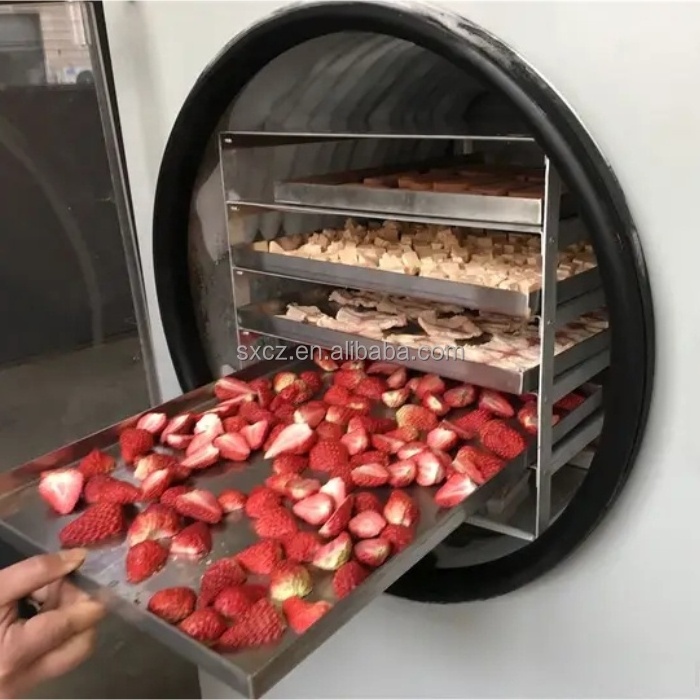 ACHIEVE CHEM Candy freeze dryer machine