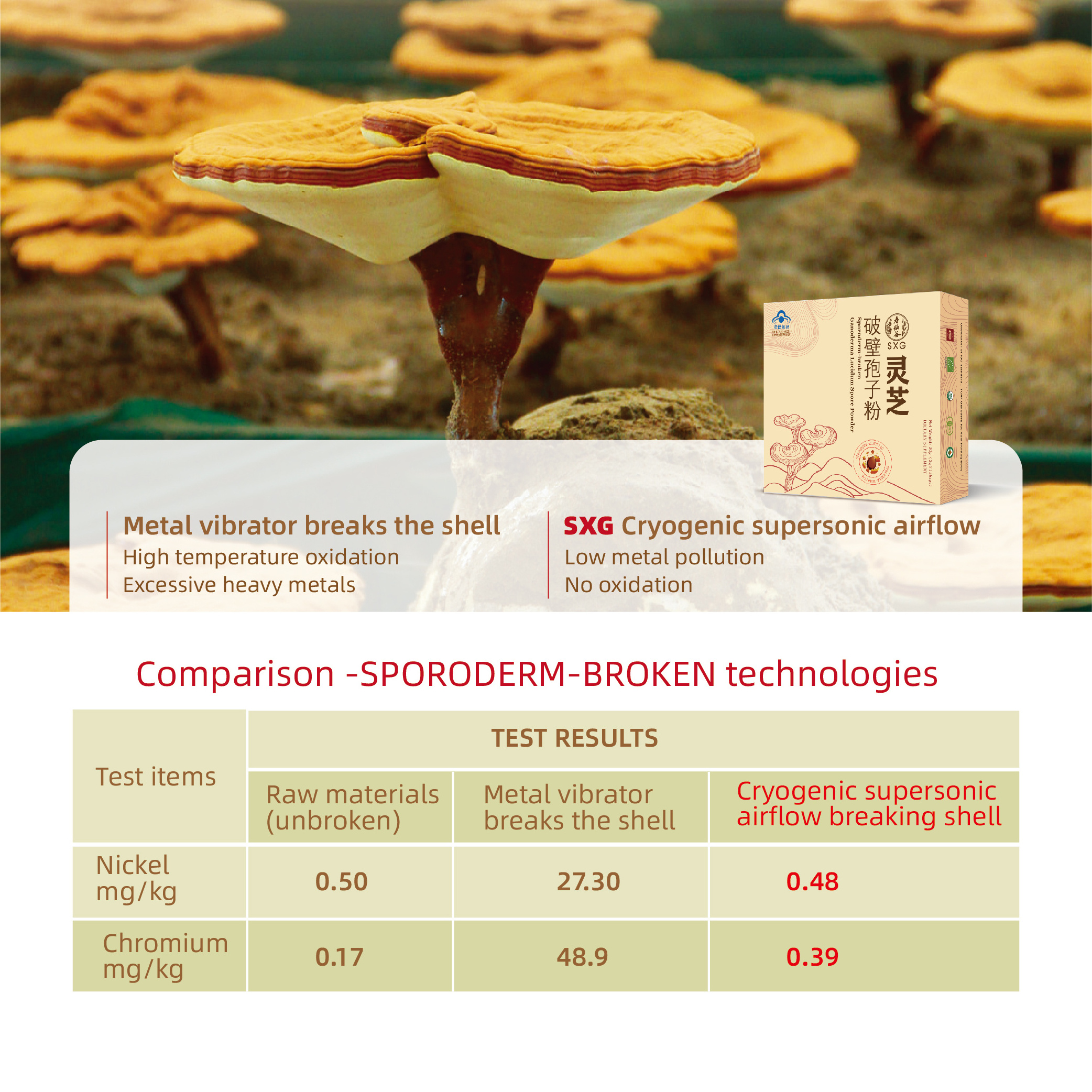 SXG ganoderma health supplement Lingzhi adaptogenos seed of ganoderma lucidum anti-fatigue reishi mushroom powder