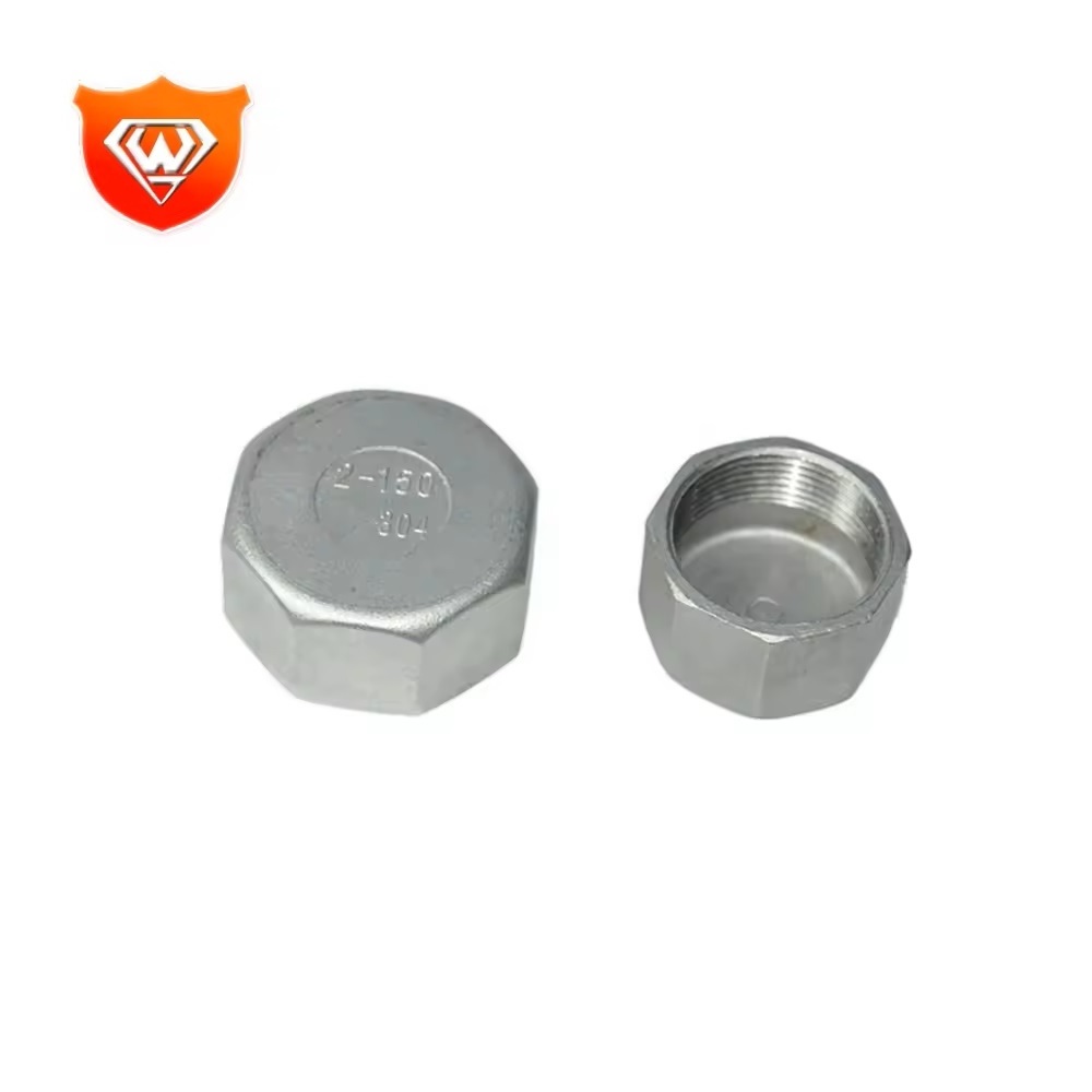 304 Hexagon Npt Stainless Steel Thread stainless steel industrial pipe fitting Hex Plug