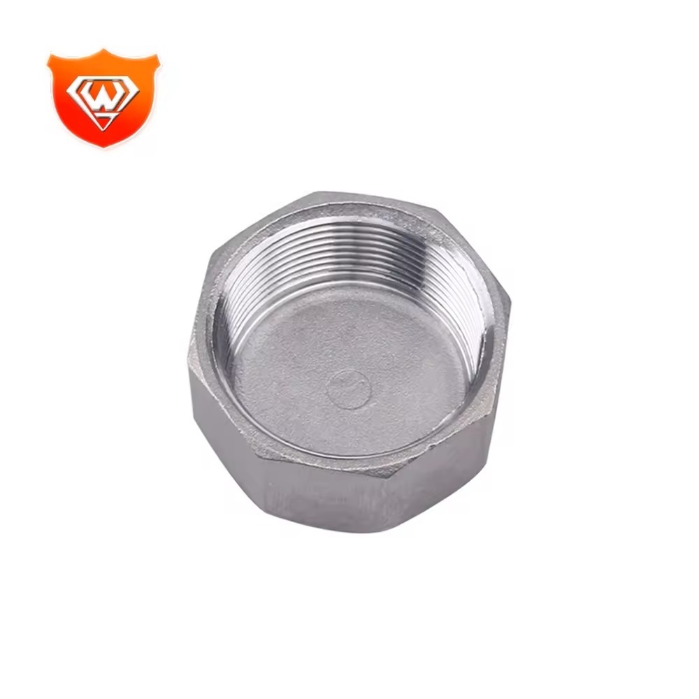 304 Hexagon Npt Stainless Steel Thread stainless steel industrial pipe fitting Hex Plug