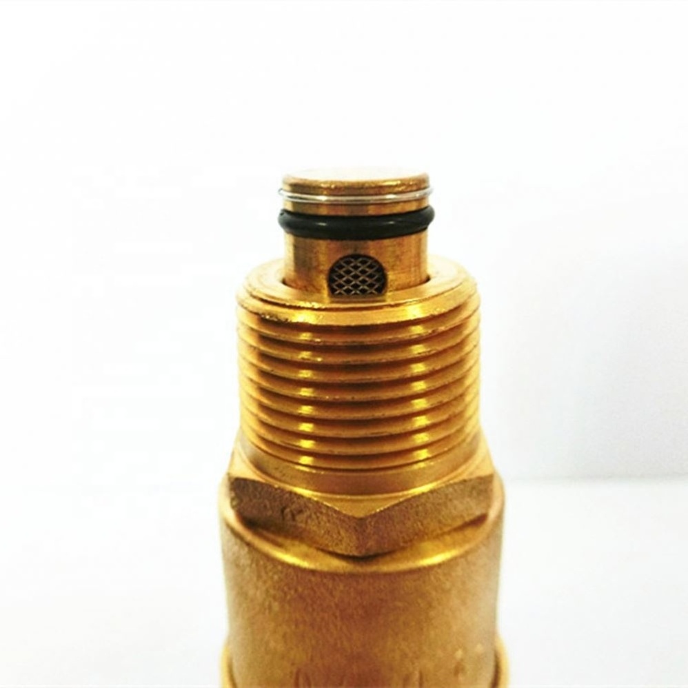 High quality China Manufacture air evacuation valve exhaust control valve cooper discharge valve wholesale