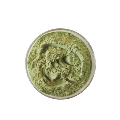 Moringa oleifera leaf extract Horseradish tree leaves powder