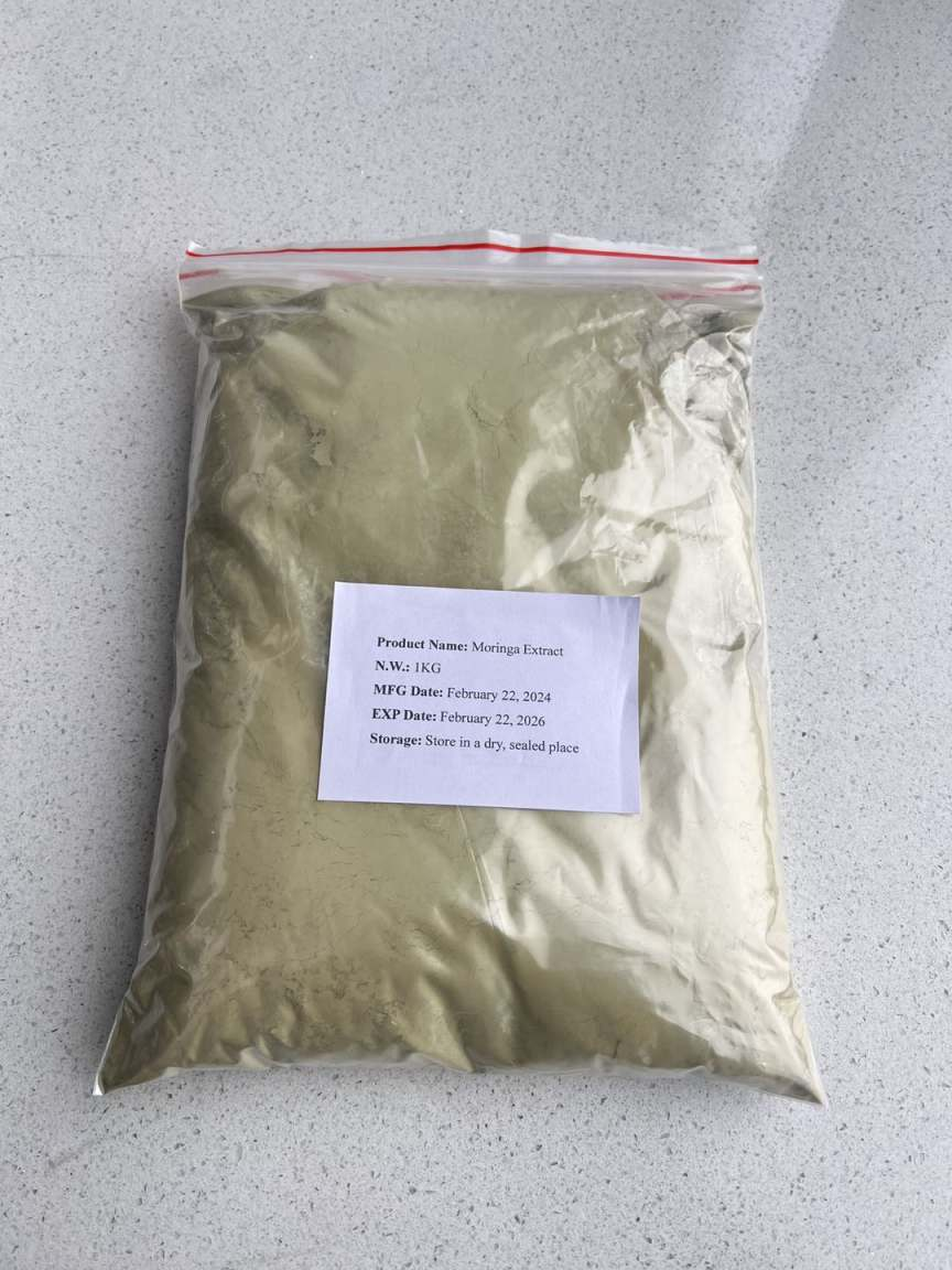 Moringa oleifera leaf extract Horseradish tree leaves powder