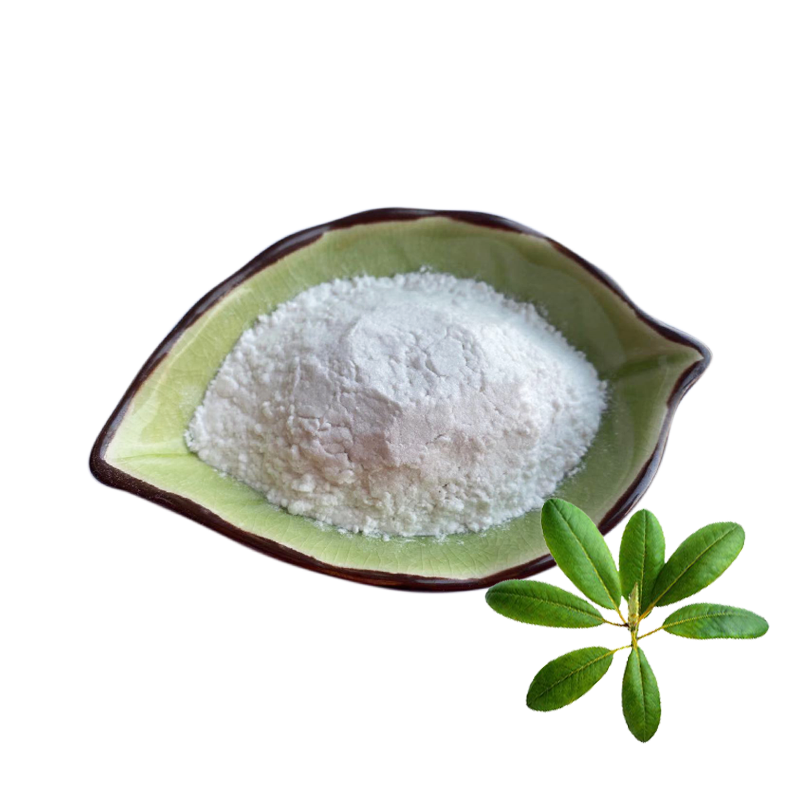 Ursolic Acid 80% Cosmetic Grade Loquat Leaf Extract Ursolic Acid Powder