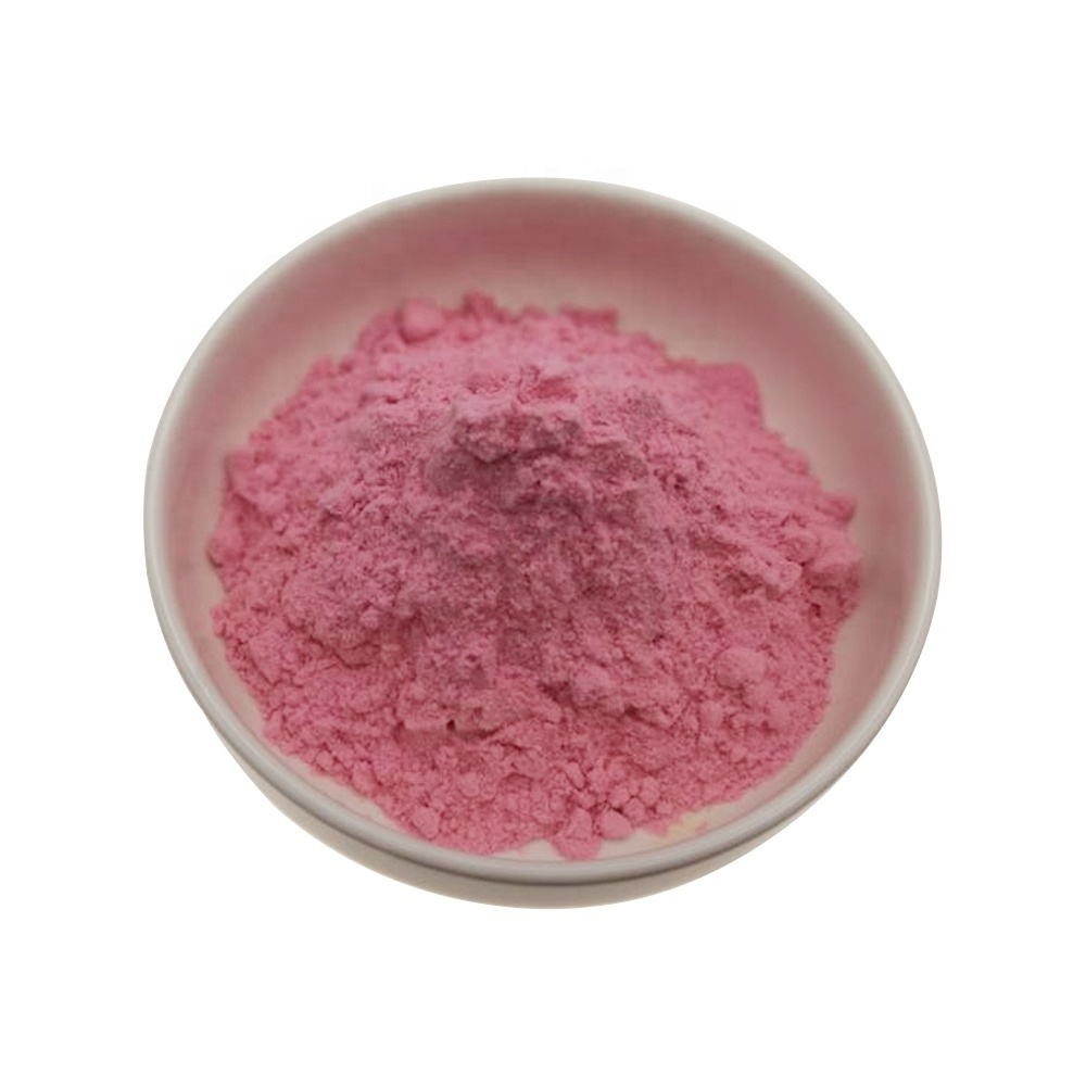 Factory Price Guava Fruit Juice Powder