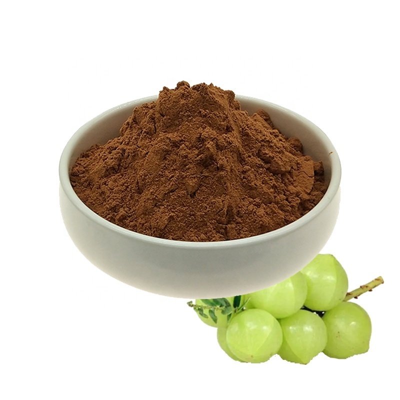 High Quality Emblica officinalis/Amla/Phyllanthus Emblica Extract