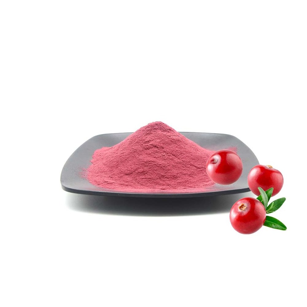 Natural Cranberry Extract Powder with 25% Proanthocyanidins at Manufacturer Price