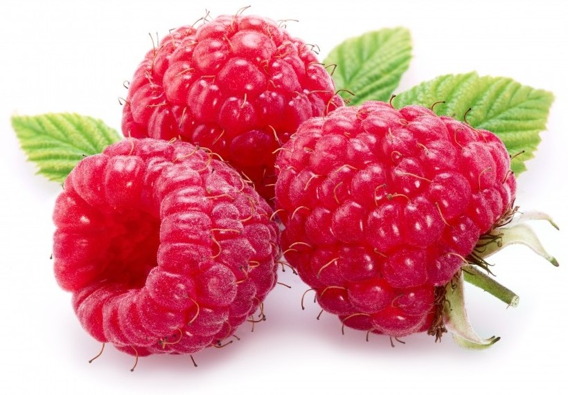 We provide Chinese Raspberry Extract Powder derived from fruit sources