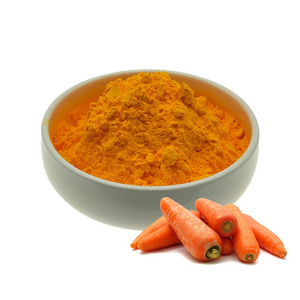 Factory Supply 100%  Carrot Extract Beta Carotene