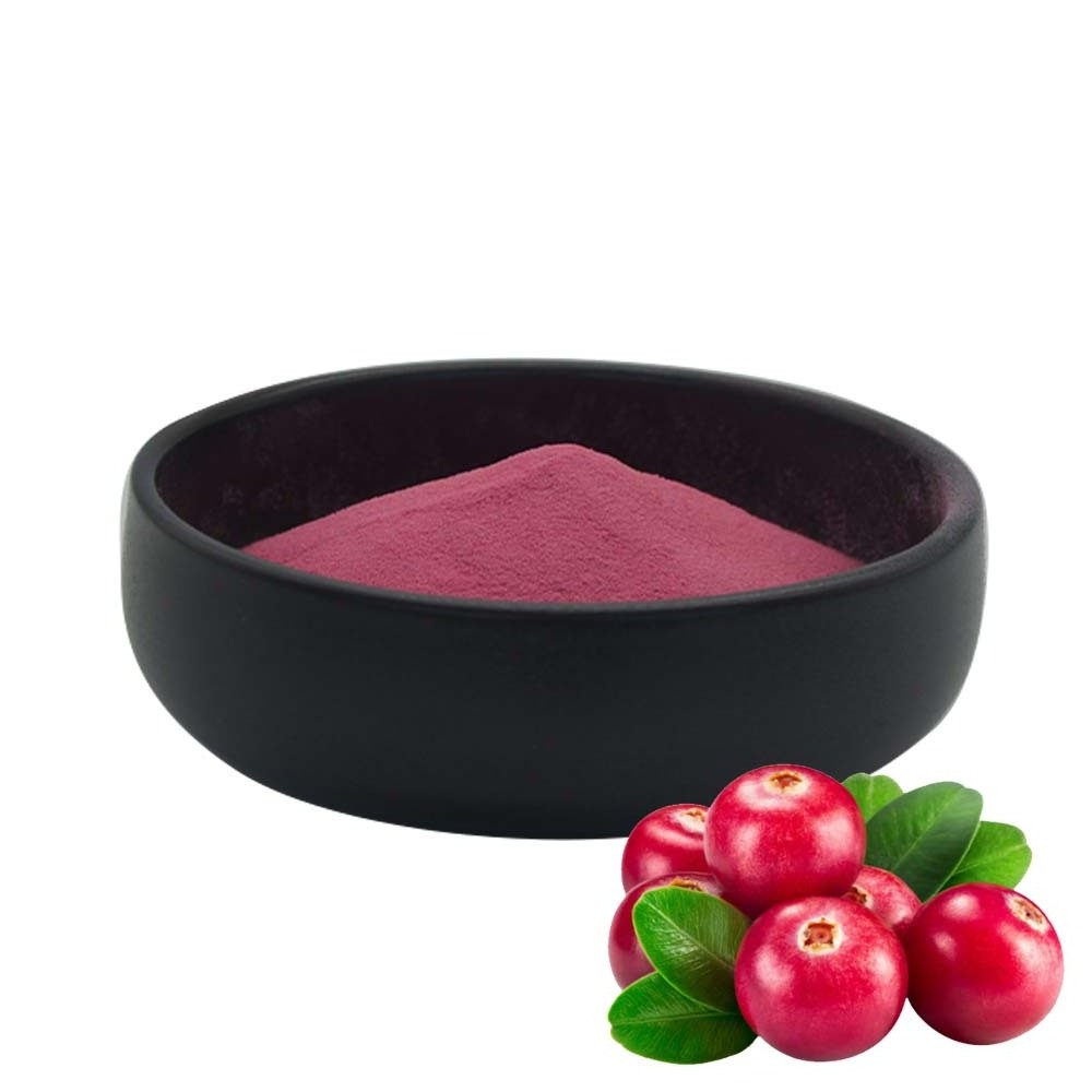 Natural Cranberry Extract Powder with 25% Proanthocyanidins at Manufacturer Price