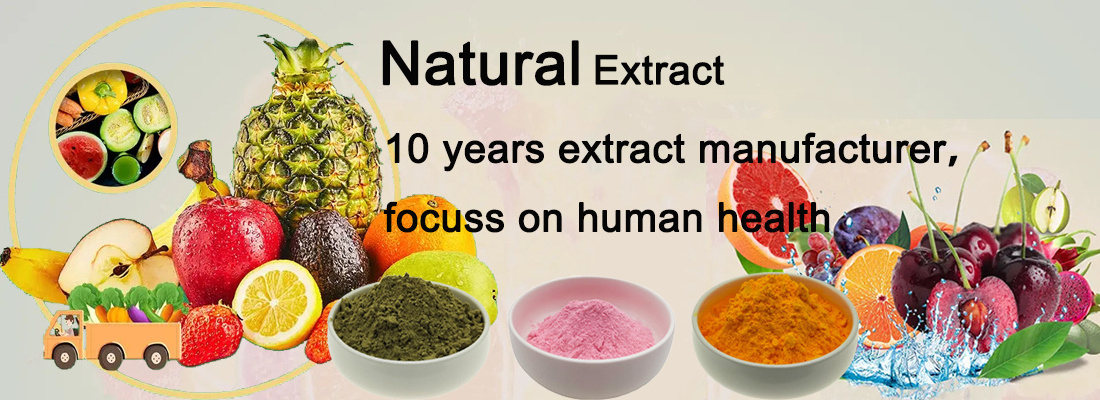 Mulberry Extract Powder, Derived from Fresh Mulberry Fruits, Directly from the Factory