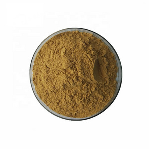 Wholesales Price 100% Pure Pandan Leaf Extract