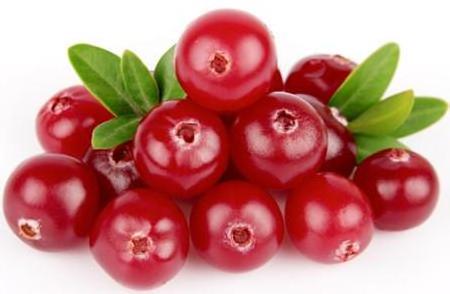 Natural Cranberry Extract Powder with 25% Proanthocyanidins at Manufacturer Price