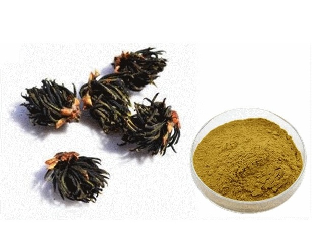 chinese Eucommia Ulmoides Flower Extract Male Flower Of Eucommia Ulmoides Powder