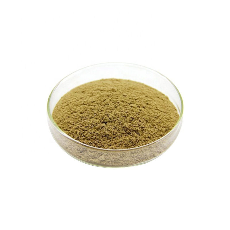 chinese Eucommia Ulmoides Flower Extract Male Flower Of Eucommia Ulmoides Powder