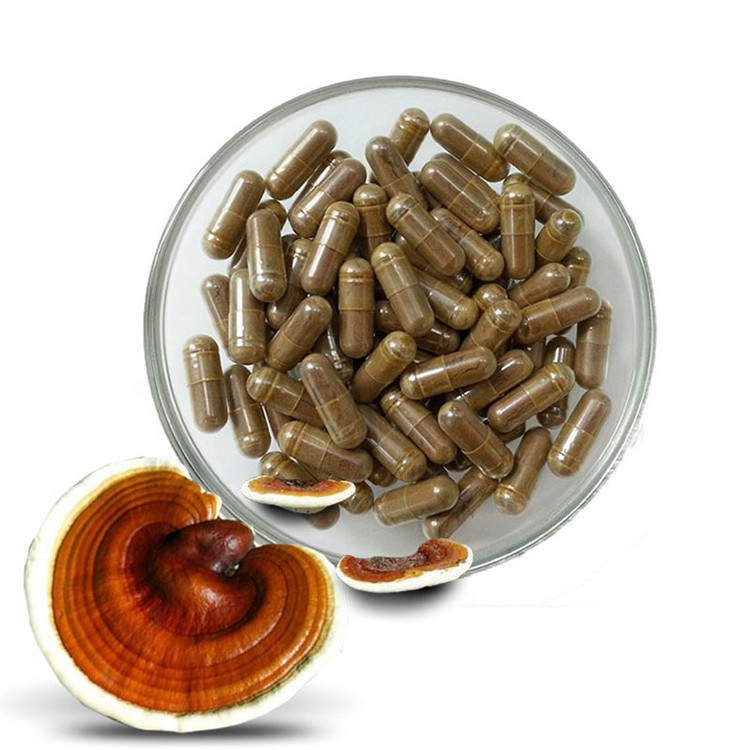 Ganoderma lucidum and Ganoderma lucidum spore capsules