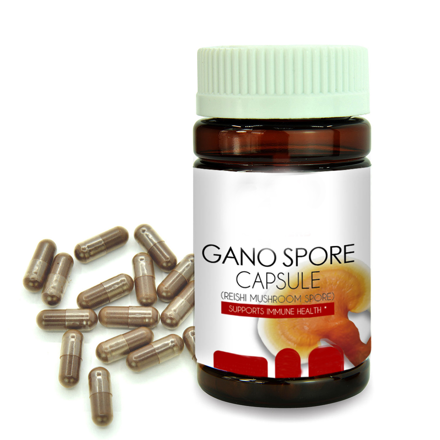 Ganoderma lucidum and Ganoderma lucidum spore capsules