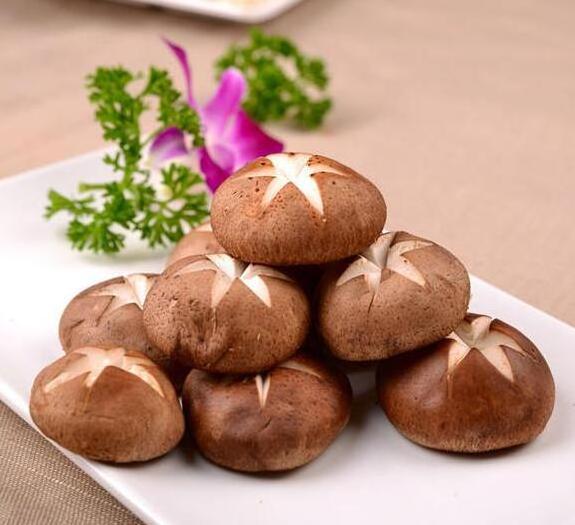 bulk dried shiitake mushroom powder Shitake Mushroom extract powder